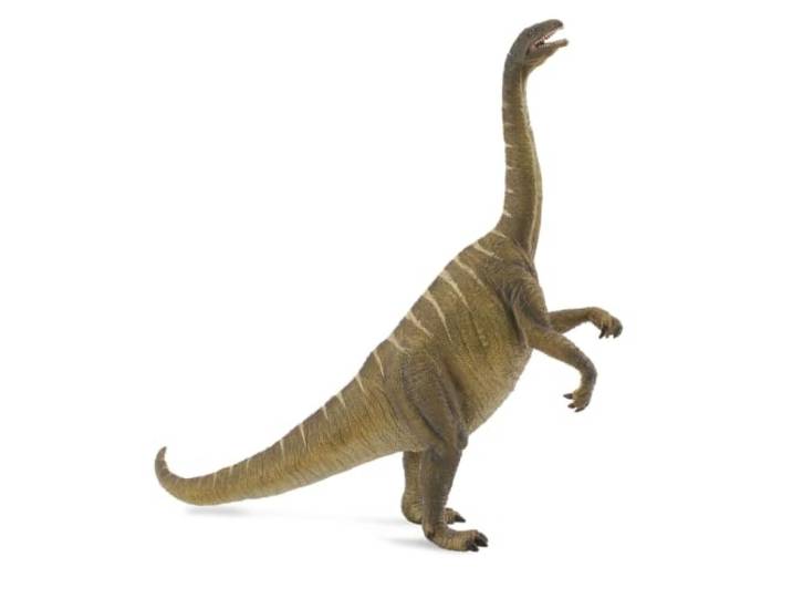 Collecta – Col88513 – Plateosaurus – maat L