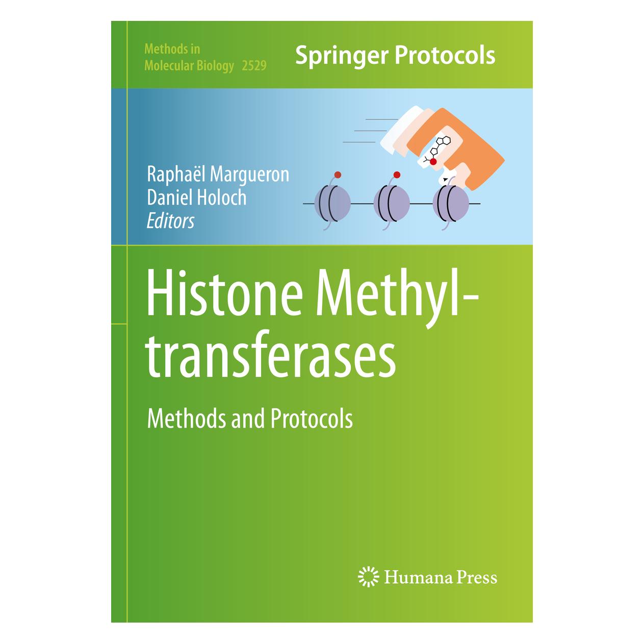 Springer Histone Methyltransferases (Englisch, Softcover, Daniel Holoch, Raphaël Margueron) (56954091)