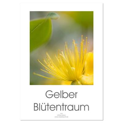 Gelber Blütentraum (Wandkalender 2026 DIN A2 hoch), CALVENDO Monatskalender
