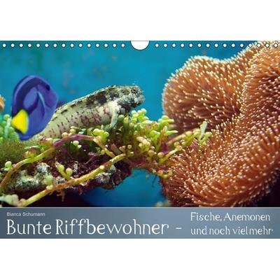 Bunte Riffbewohner - Fische, Anemonen und noch viel mehr (Wandkalender immerwährend DIN A4 quer)