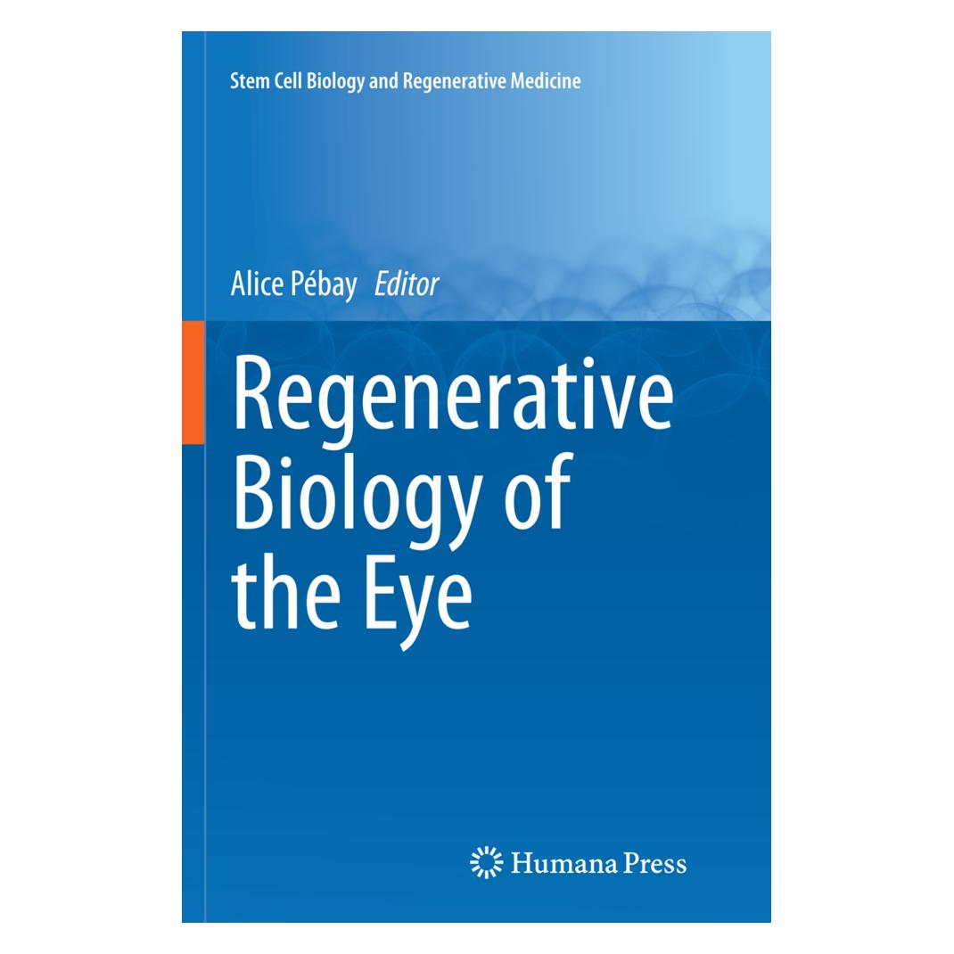Springer Regenerative Biology of the Eye (Englisch, Softcover, Alice Pébay) (55834587)