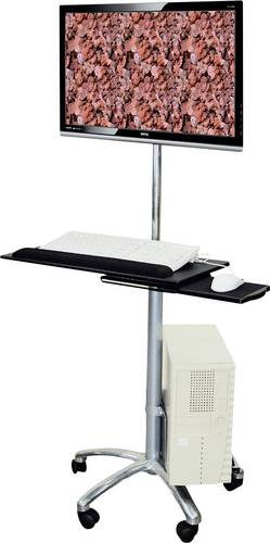 Value Mobiler Sitz-/Steh-PC-Arbeitsplatz 17.99.1174 1 Display(s) Silber