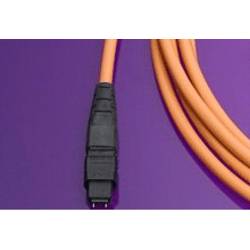 Molex 106284-0005 Verbindungskabel 50/125 µ Multimode 1 St.