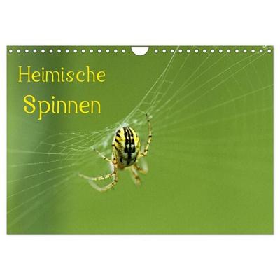 Heimische Spinnen (Wandkalender 2027 DIN A4 quer), CALVENDO Monatskalender