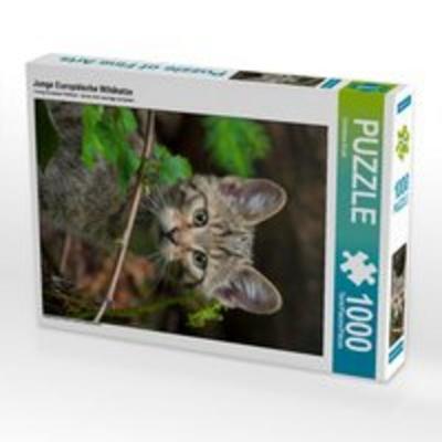 CALVENDO Puzzle Junge Europäische Wildkatze 1000 Teile Lege-Größe 48 x 64 cm Foto-Puzzle Bild von Christina Krutz