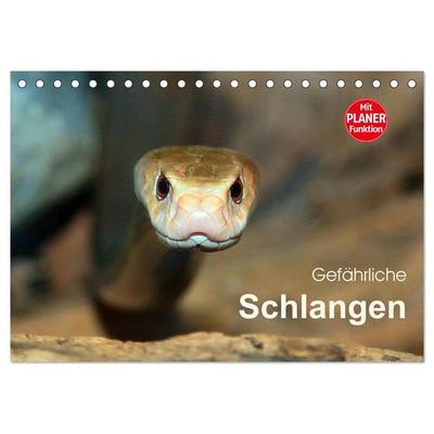 Gefährliche Schlangen (Tischkalender 2026 DIN A5 quer), CALVENDO Monatskalender