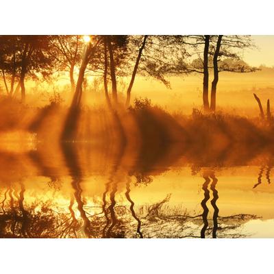 Fototapete PAPERMOON "DÄMMERUNG-REFLEXION VON BÄUMEN UFER FLUSS SEE SONNE", bunt, B:4,5m L:2,8m, Vlies, Tapeten