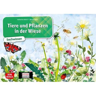 Tiere und Pflanzen in der Wiese. Kamishibai Bildkartenset, Sonstige von Katharina Stöckl-Bauer, Don Bosco
