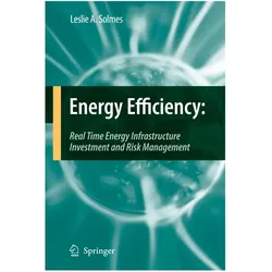 Energy Efficiency, Fachbücher von Leslie A. Solmes
