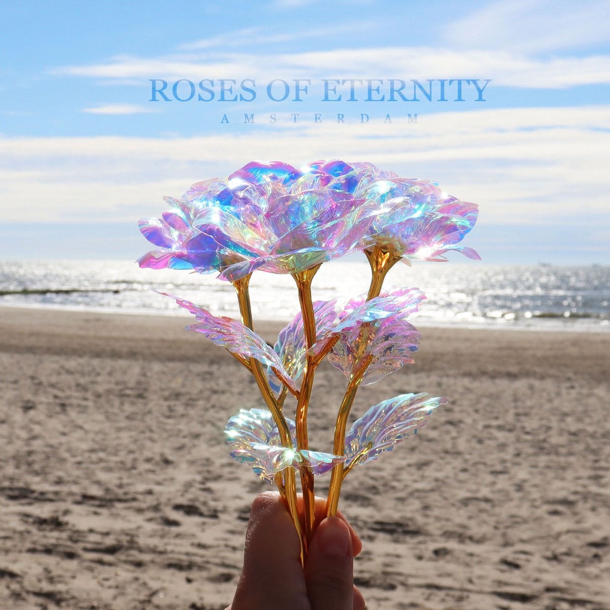 Roses of Eternity 24K Galaxy Roos met decoratiedoos - Gouden roos
