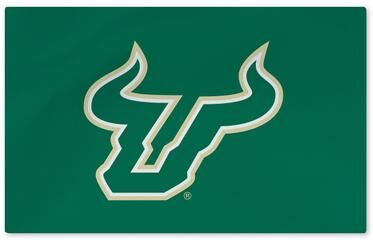 NCAA Logo Washable Rug