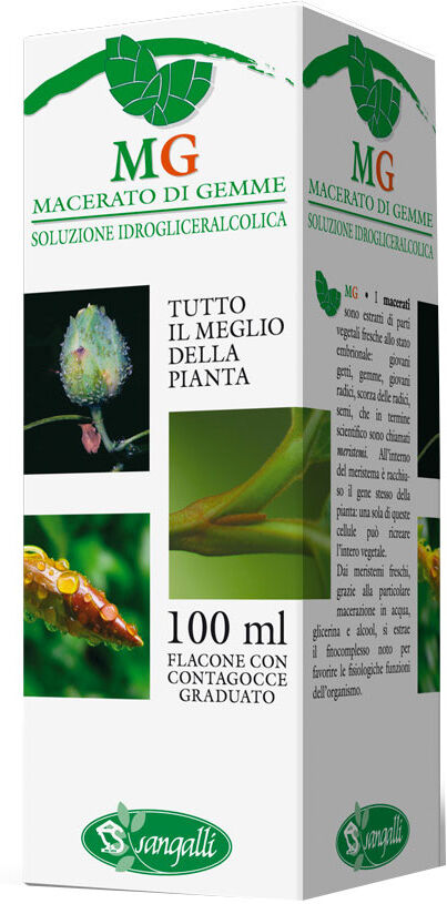 Sangalli Betula Pubescens 100ml Mg