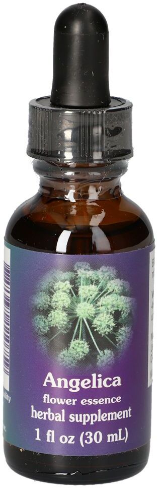FES Quintessentials Angelica FES kalifornische Blütenessenz Tropfen 30 ml