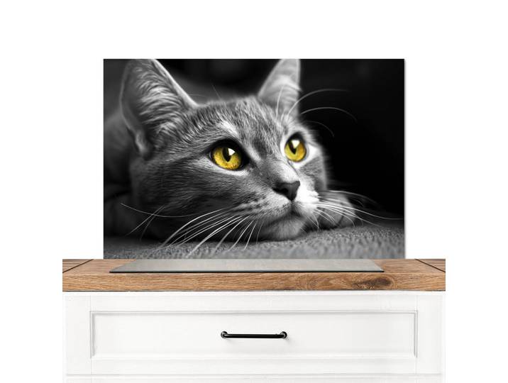 MuchoWow Spritzschutz Küche Katze - Grau - Tiere - Katze 80x55 cm, Metall, Rechteckig, 80x0.3x55 cm, rostfrei, Küchenzubehör, Küchenhelfer, Küchenutensilien