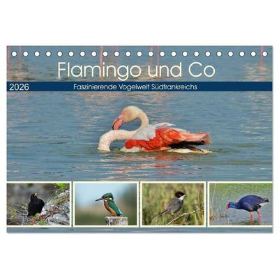 Flamingo und Co - Faszinierende Vogelwelt Südfrankreichs (Tischkalender 2026 DIN A5 quer), CALVENDO Monatskalender