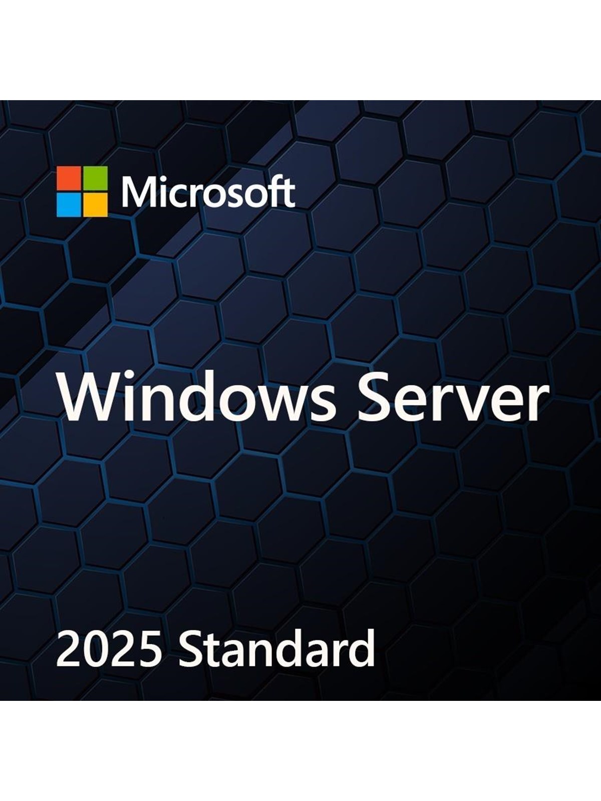Microsoft Windows Server 2025 Standard - Polieren
