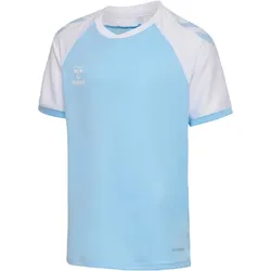 hummel hmlMATCH League Fußballtrikot 7473 - argentina blue/white 116