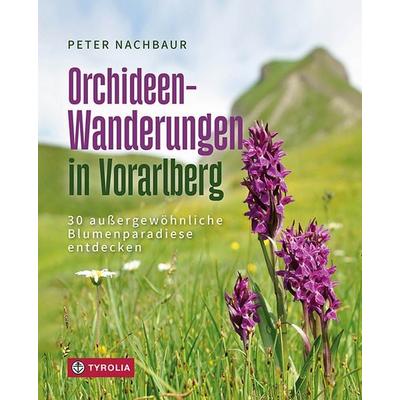 Orchideen-Wanderungen in Vorarlberg, Taschenbuch von Peter Nachbaur, Tyrolia, 978-3-7022-4171-1