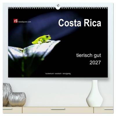 Costa Rica tierisch gut 2027 (hochwertiger Premium Wandkalender 2027 DIN A2 quer), Kunstdruck in Hochglanz