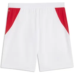 Puma, Herren, Sporthose, ACM Shorts Replica (XL)