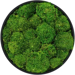 MOOSBILD Rund Ø 30 cm Mooswand Indoor mit Echtem Kugelmoos und Holzrahmen Grün Pflegefrei