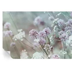 FOTOTAPETE 152x104 cm - Wildblumen
