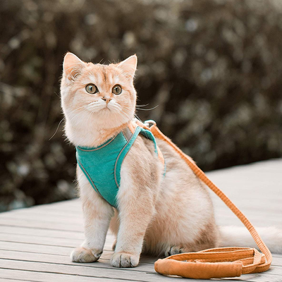 PetsAreLife Luminous Escape Proof Cat Vest Harness And Leash Set Glow In The Dark, Comfortable & Safe For Cats Pink L