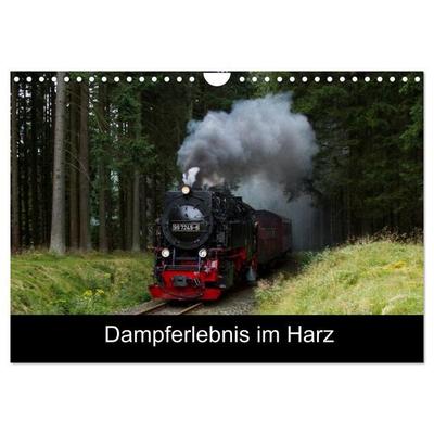 Dampferlebnis im Harz (Wandkalender 2027 DIN A4 quer), CALVENDO Monatskalender