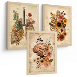 POSTER Set aus 3 Anatomie Mensch Florale Drucke und Wandbilder mit Lungen Brustkorb und Gehirn Botanischer Antiker Stil Größe Leichter Holzrahmen A3