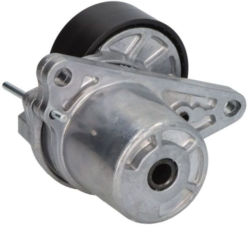 Keilrippenriemenspanner BTA E3M0004BTA