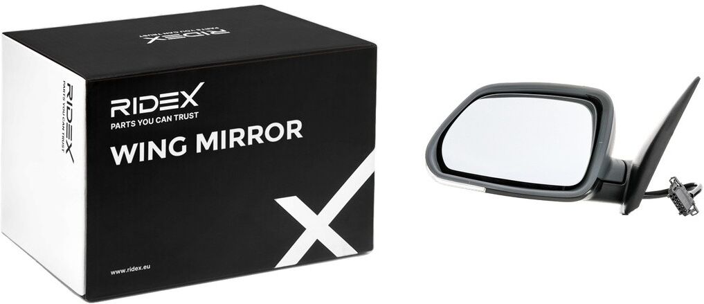 RIDEX 50O0293 Wing mirror