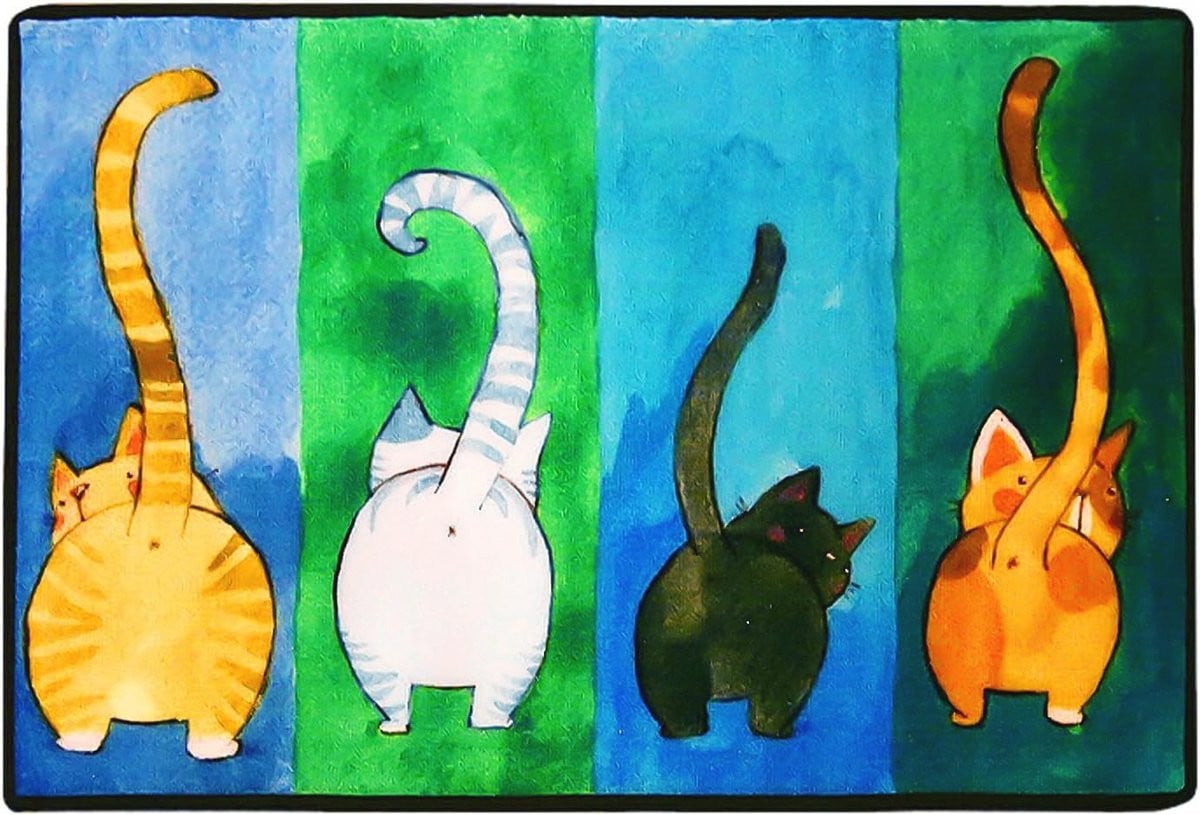 Grappige Kat deurmat met antislip en waterabsorberend effect, 50 x 80 cm