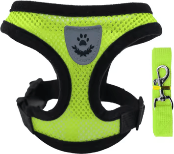 Inspire Picks Breathable Summer Dog Harness & Leash Set Lightweight Pet Chest Vest For Small Dogs & Cats green xl