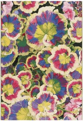 SAFAVIEH Barbados Siety Tropical Waterproof Patio Backyard Rug