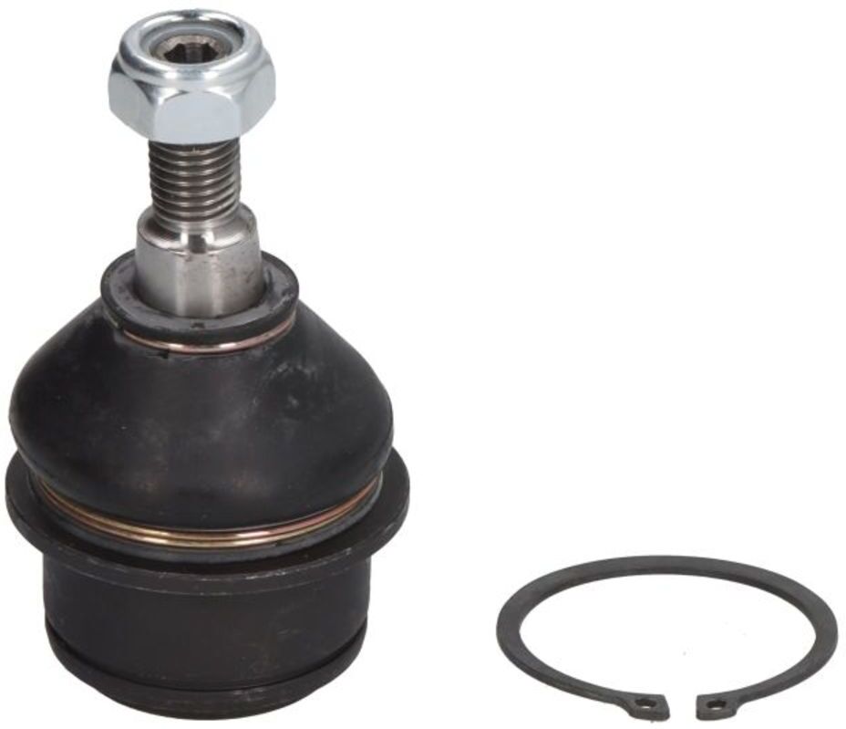 Traggelenk REINHOCH RH03-6009