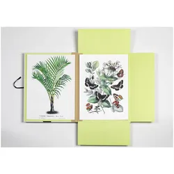 The Pepin Press, Bilder, Natural History (45 x 32 cm)