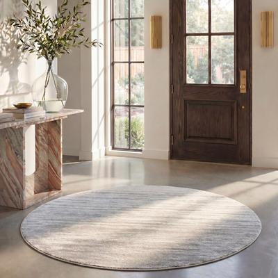SAFAVIEH Adirondack Vera Modern Ombre Distressed Area Rug
