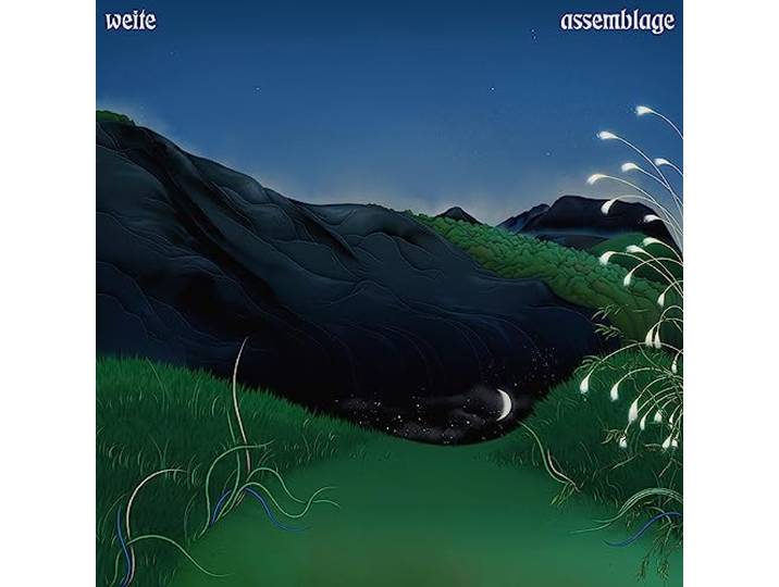 Assemblage
