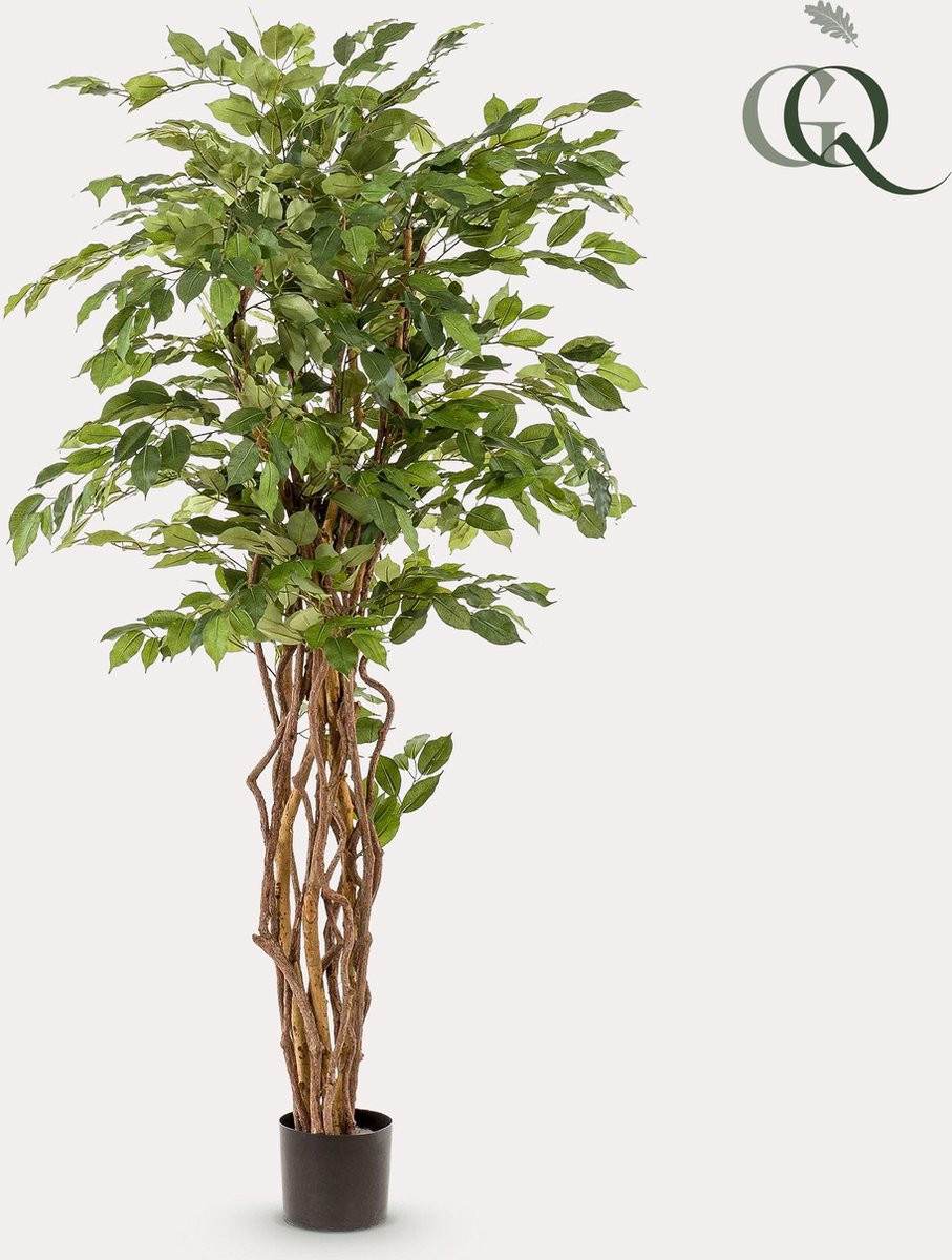 Green Boutiq Kunstplant Ficus Liana Vioolbladplant Hoogte: 170 cm