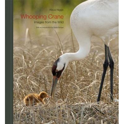 Whooping Crane, Gebundene Ausgabe von Klaus Nigge, Texas A&M University Press, 978-1-60344-209-1