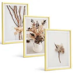 BILDER SET 3er Set - 40x60 cm Goldrahmen - Blumenzweige minimalistisch