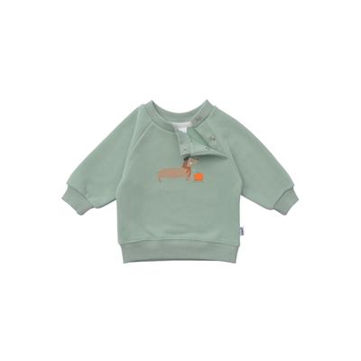 Sweatshirt LILIPUT "Dackel", Mädchen, Gr. 74/80, grün, 80% Baumwolle, 20% Polyester, bedruckt, normal, Rundhals, Sweatshirts Sweatshirt, mit niedlichem Dackel-Print