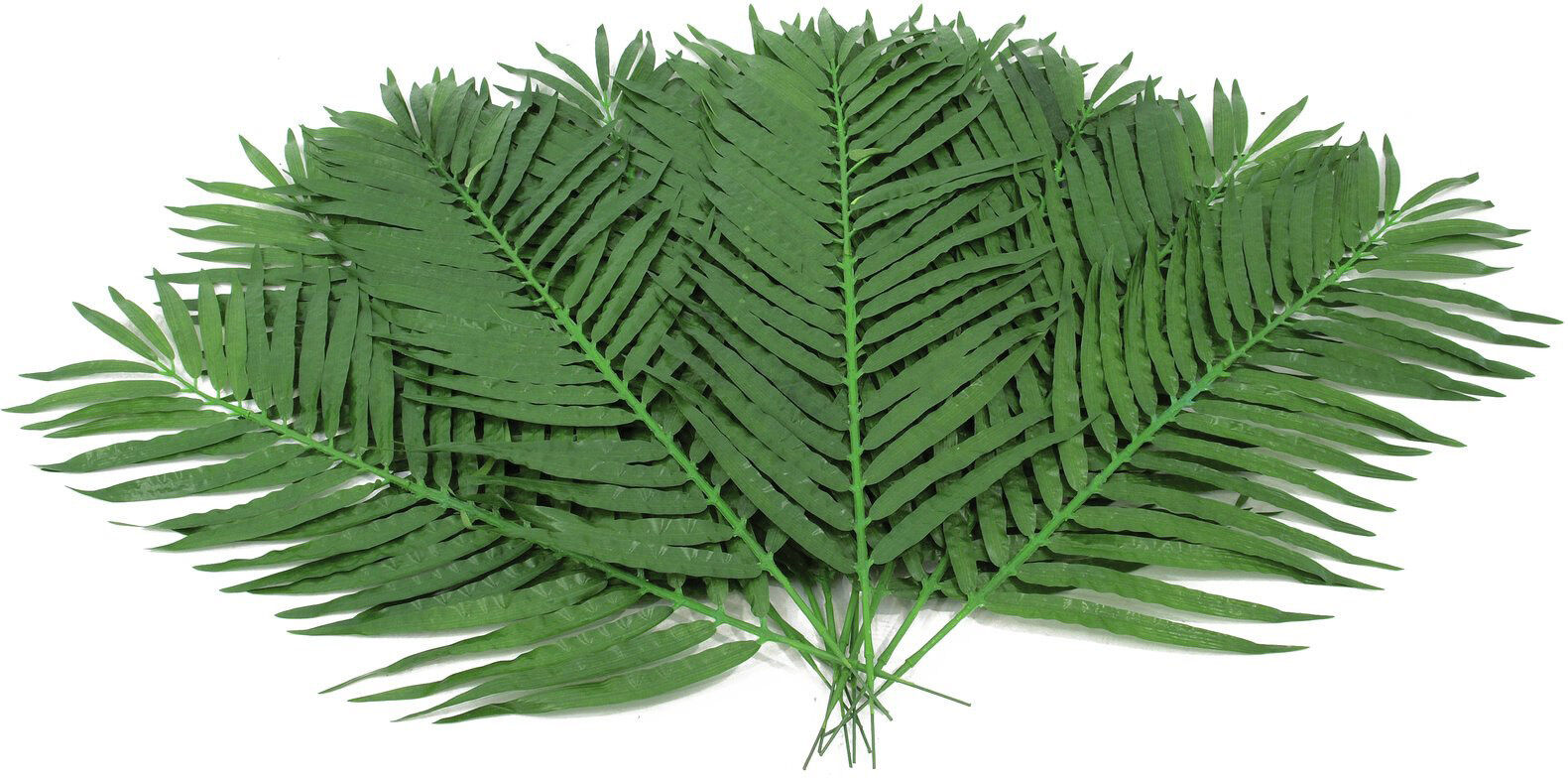Europalms Kokos-Palmwedel 110cm 12x