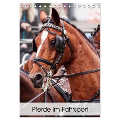 Pferde im Fahrsport (Tischkalender 2026 DIN A5 hoch), CALVENDO Monatskalender