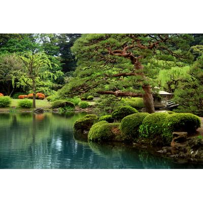 Papermoon "Calm Zen Lake" glatt