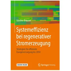 Systemeffizienz bei regenerativer Stromerzeugung, Fachbücher von Günther Brauner