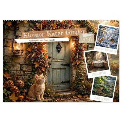 Kleiner Kater Ginger (Wandkalender 2027 DIN A2 quer), CALVENDO Monatskalender