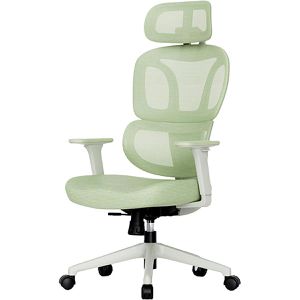 FlexiSpot Bürostuhl BS5LG, grün, Stoff / Netz, mit Kopfstütze, bis 136 kg