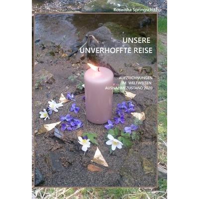 Unsere unverhoffte Reise, Gebundene Ausgabe von Roswitha Springschitz, Buchschmiede, 978-3-99110-079-9
