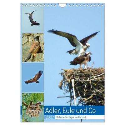 Adler, Eule und Co - Gefiederte Jäger im Portrait (Wandkalender 2027 DIN A4 hoch), CALVENDO Monatskalender
